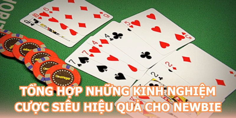 Tổng hợp những kinh nghiệm cược siêu hiệu quả cho newbie